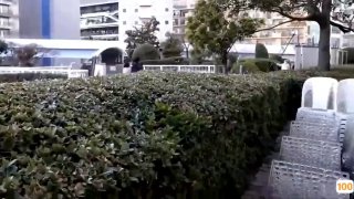 av换脸明星一区二区三区🈲成人高考免费视频教程🈲av无码天堂网手机在线下载